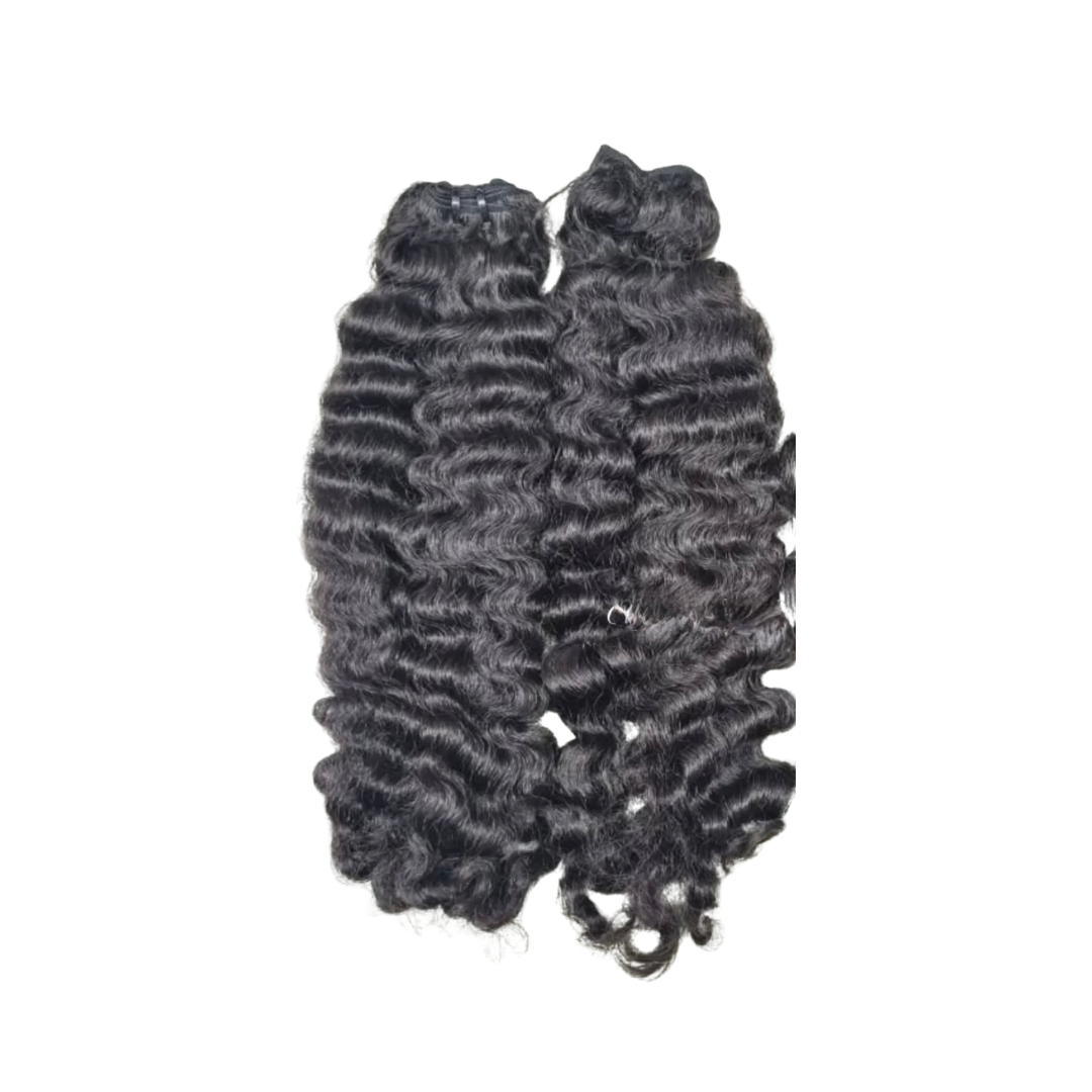 KROWNED KURLY (BURMESE CURLY)