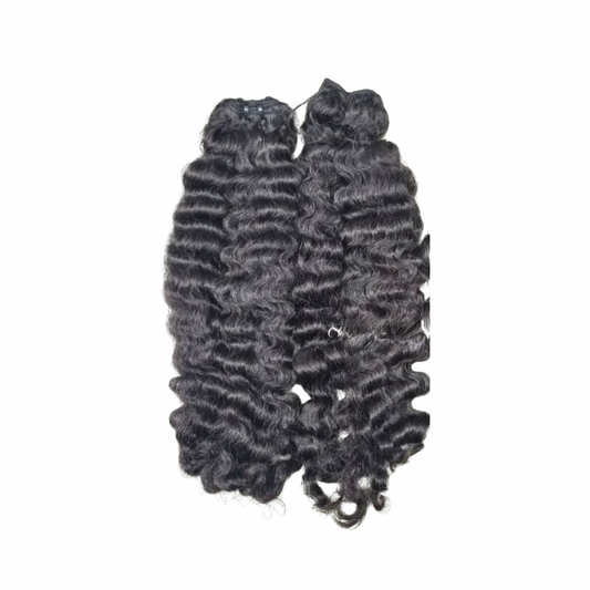 KROWNED KURLY (BURMESE CURLY)